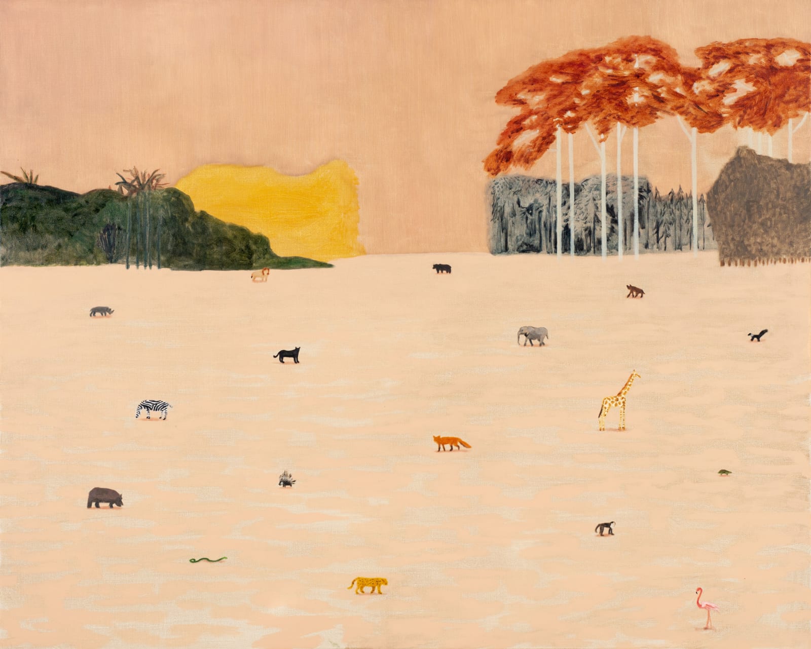 金．提爾．撒拉路基, Animals, 2018