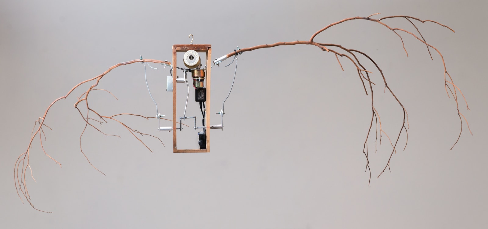 蕭聖健 Hsiao Sheng-Chien, 森林之聲—鳥 Sound of Forest – Bird, 2015