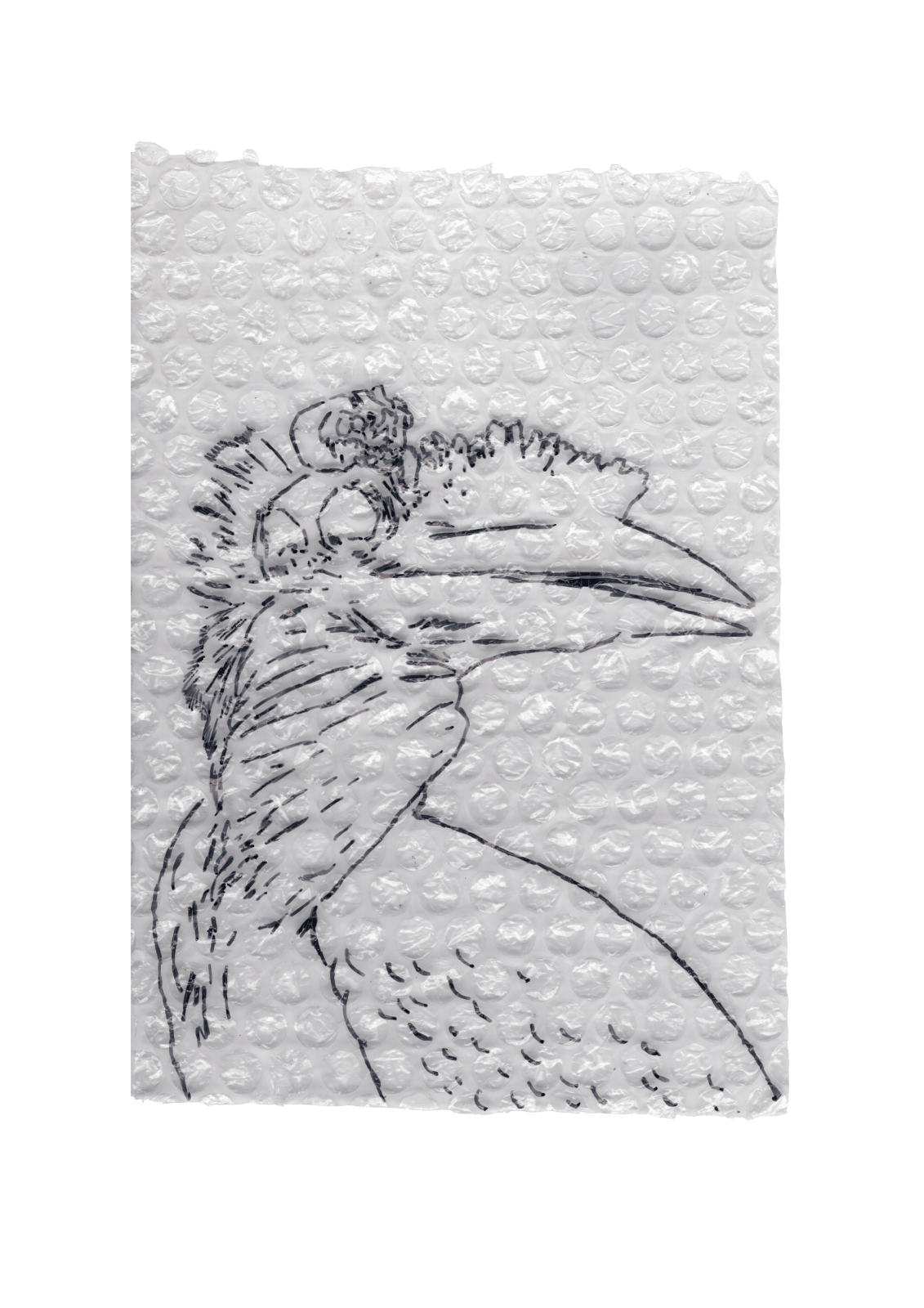 Rega Ayundya, Rhinoplax osseus 3.0 (25), 2026