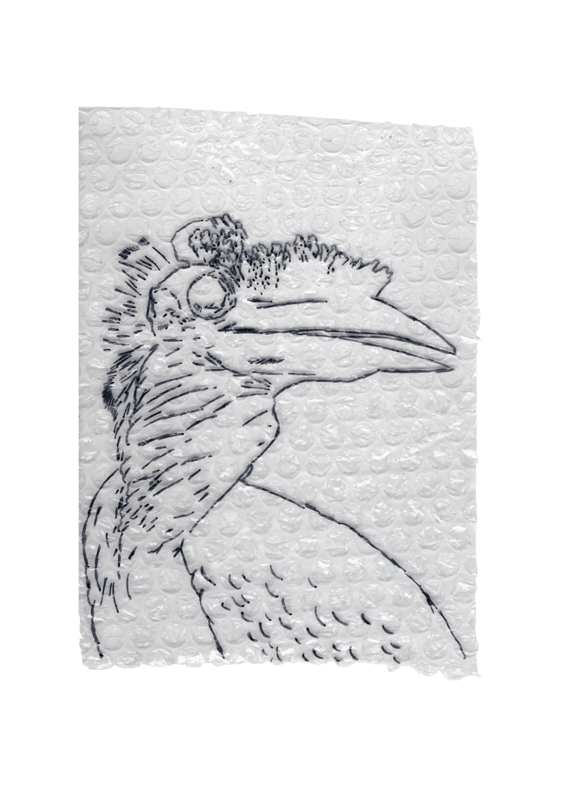 Rega Ayundya, Rhinoplax osseus 3.0 (26), 2026