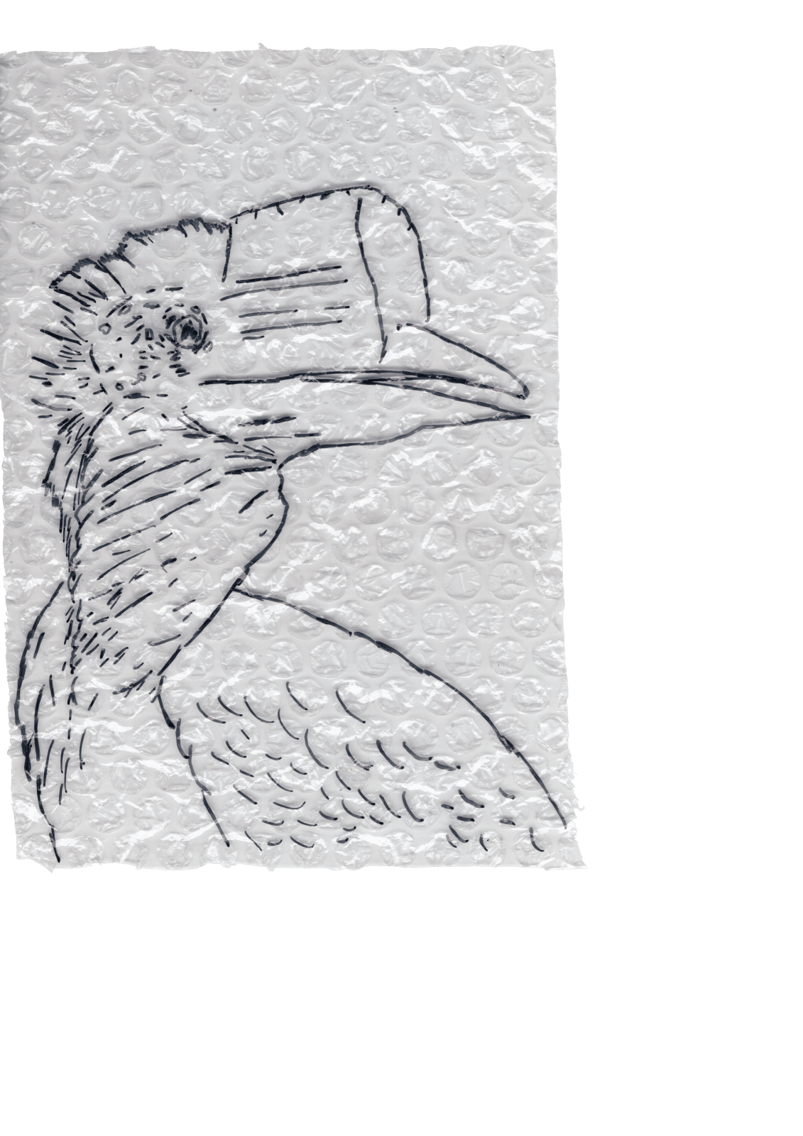 Rega Ayundya, Rhinoplax osseus 3.0 (03), 2026