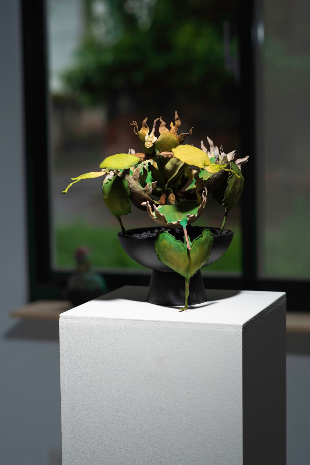 陳家邦 Chen Jia-Bang, 擬嚴龍螳螂-2, 2024