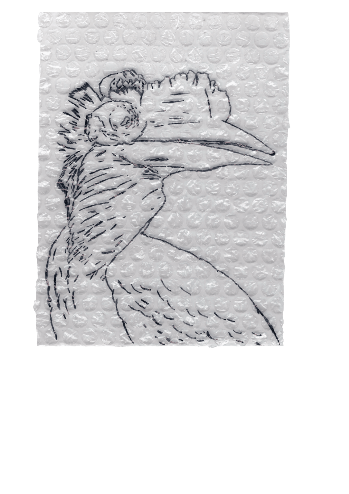 Rega Ayundya, Rhinoplax osseus 3.0 (18), 2026