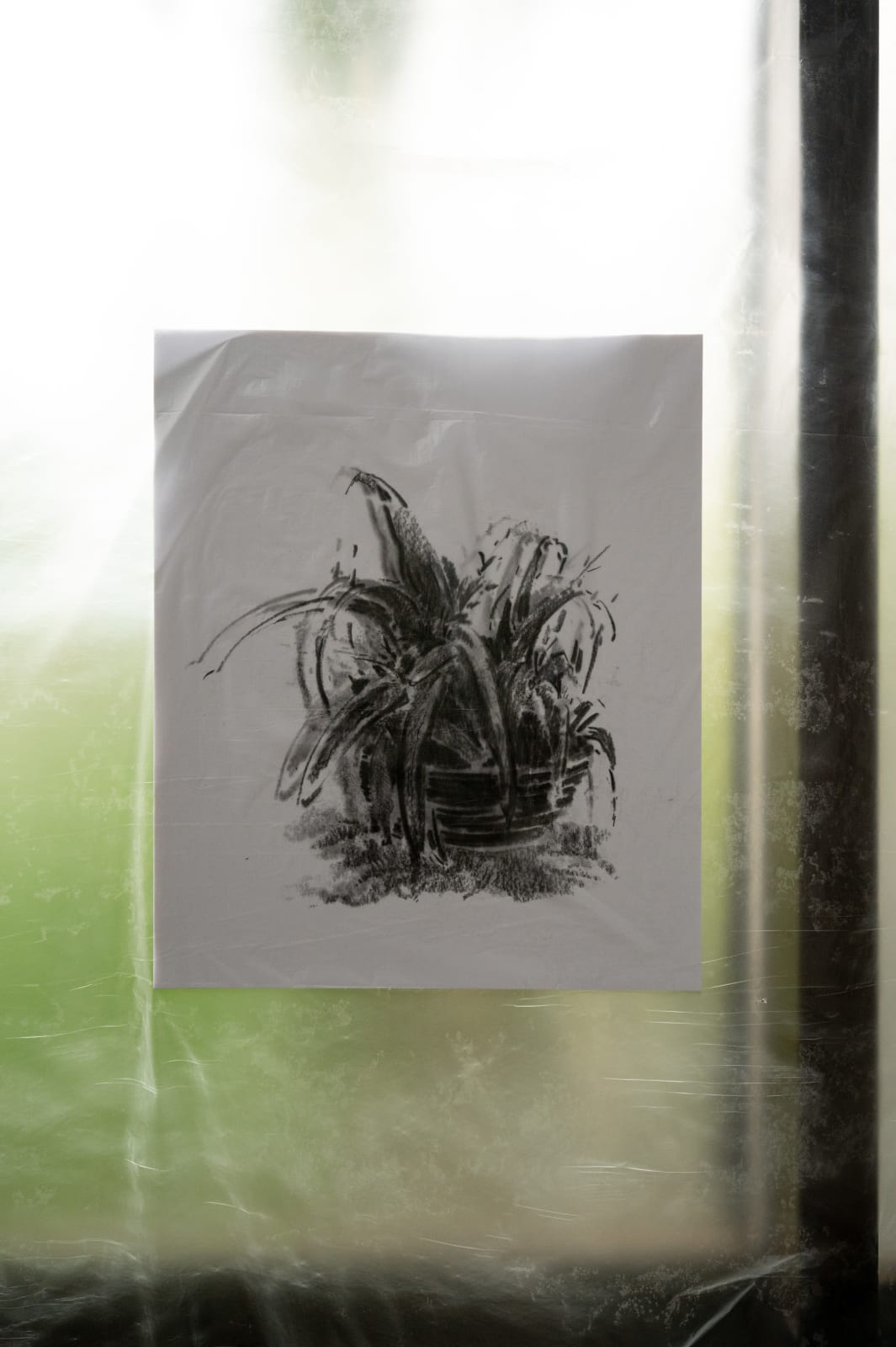 彭韋 Peng Wei, 花園Garden III, 2025