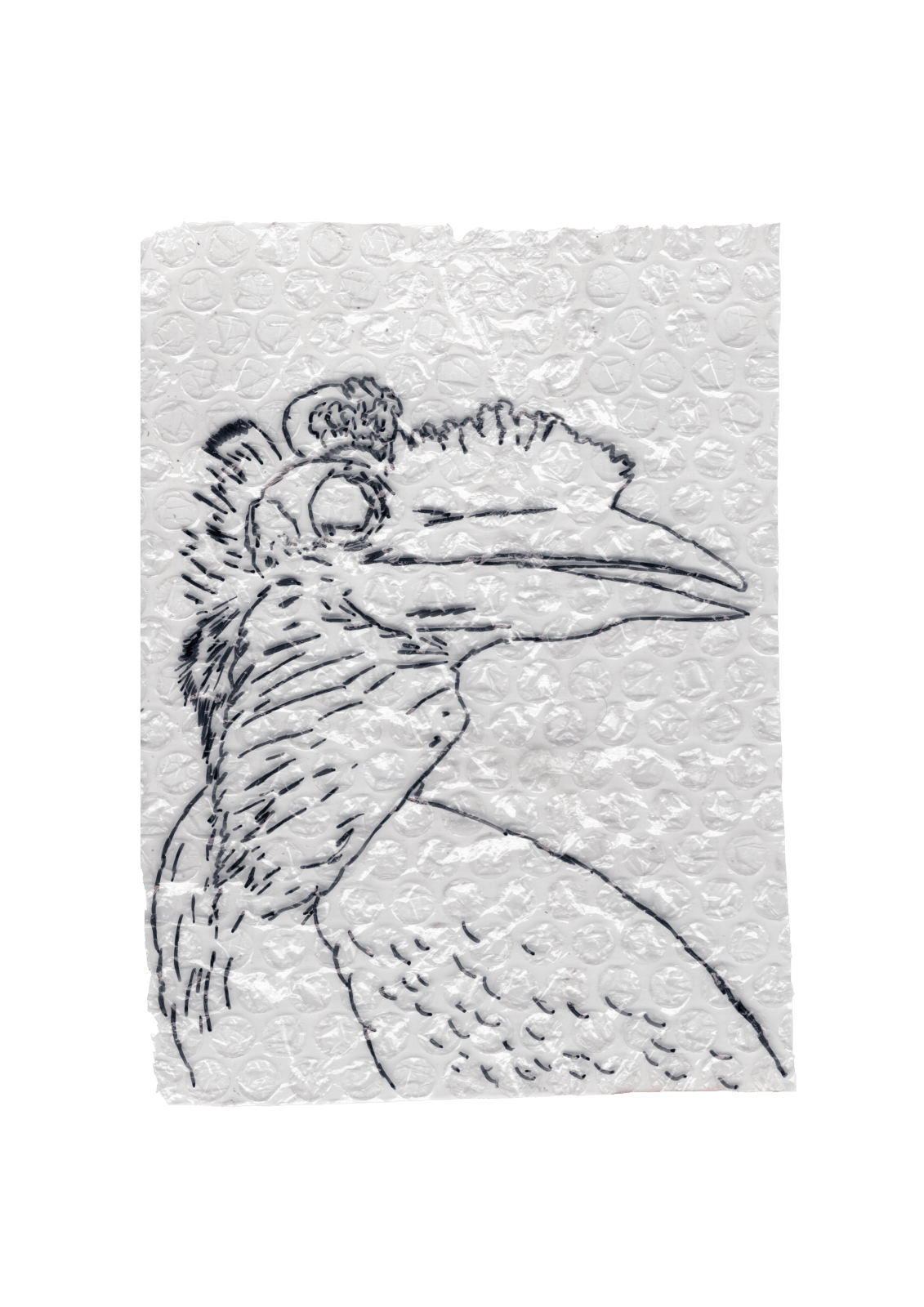 Rega Ayundya, Rhinoplax osseus 3.0 (23), 2026