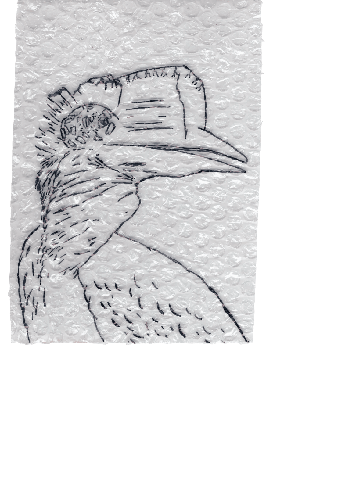 Rega Ayundya, Rhinoplax osseus 3.0 (10), 2026