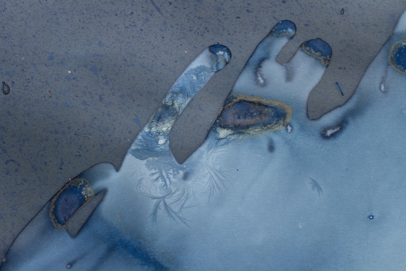 Meghann Riepenhoff, Day 383.1: mushroom spore ink + organic, inorganic, and Prussian Blue pigment + wintry mix, 2025