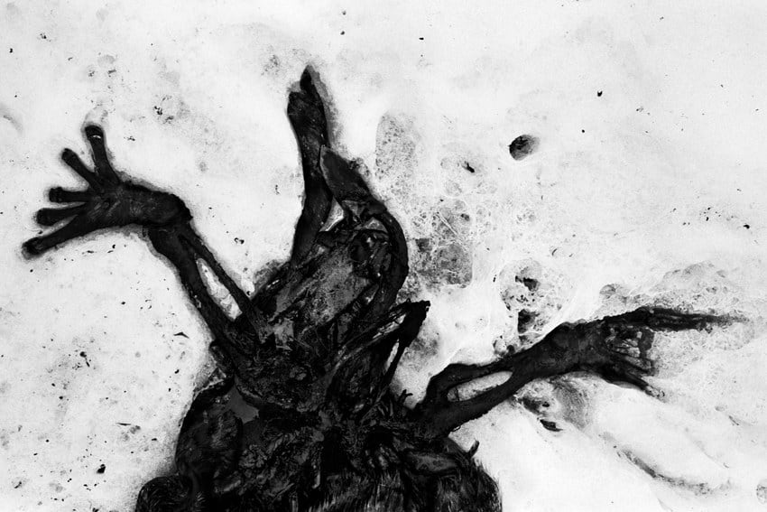 Jacob Aue Sobol, Untitled #09, From the series Sabine, 1999-2002
