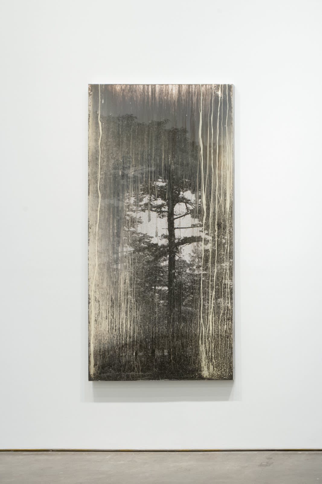 Matthew Brandt, AgXDT7010A, 2019