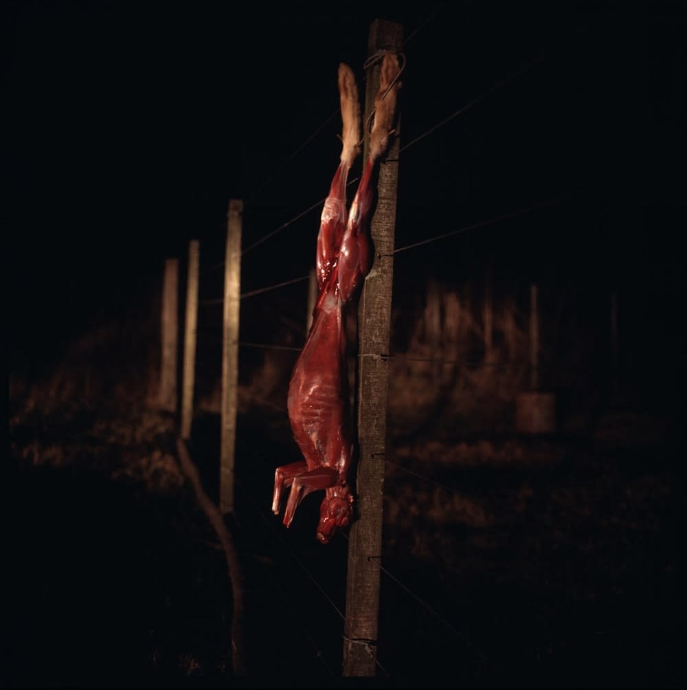 Alessandra Sanguinetti, Untitled, From the series On the Sixth Day, Plate XXXVIII, 1996-2004