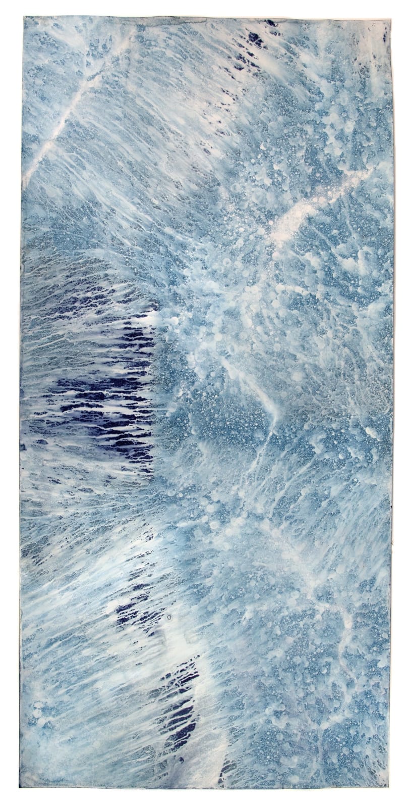 Meghann Riepenhoff, Ecotone #865 (Bainbridge Island, WA 05.01.20, Intermittent Sun Showers), 2020