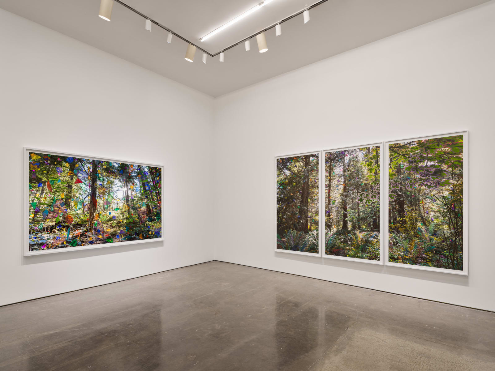 Sarah Anne Johnson, Beautiful Day, 2025