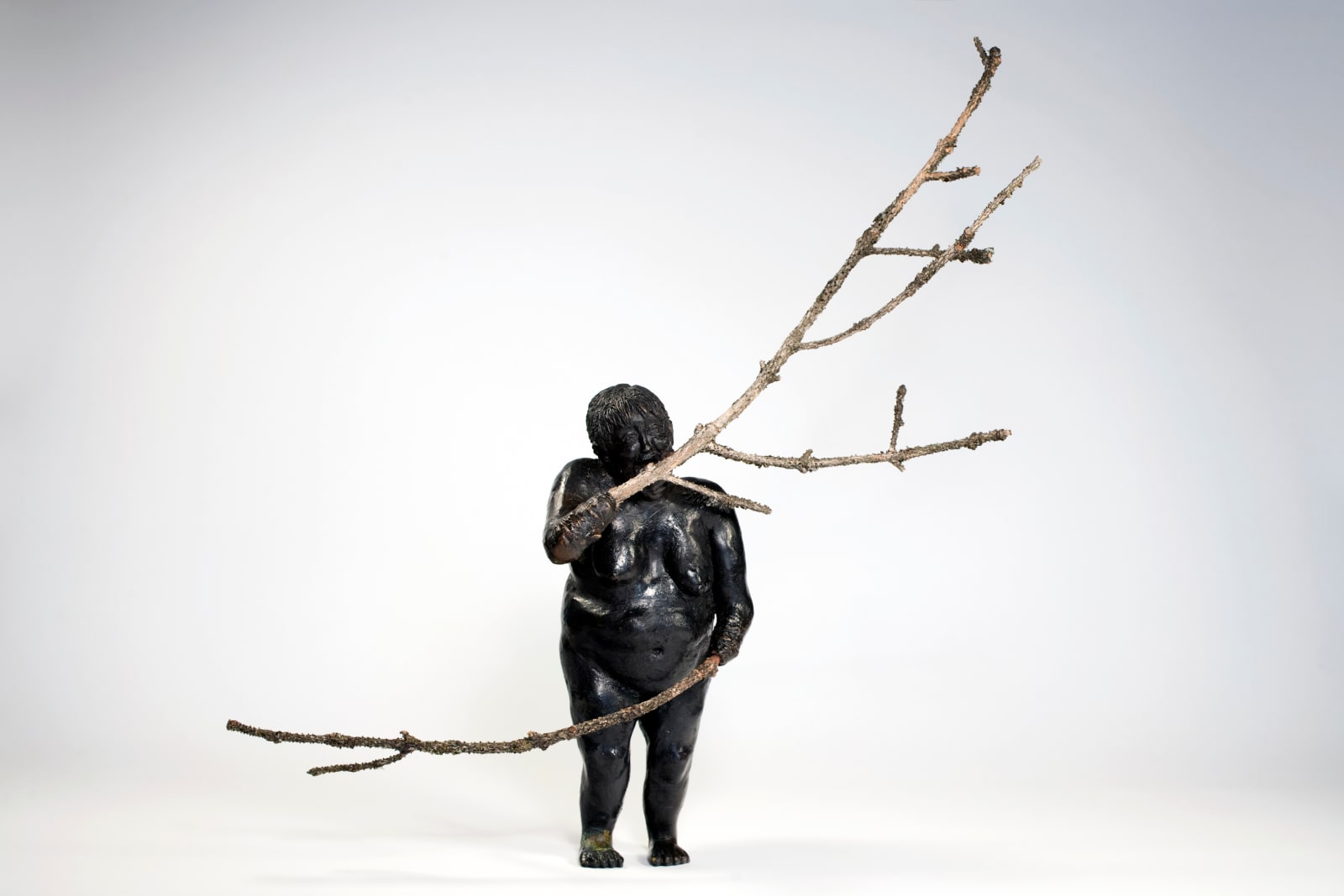 Sarah Anne Johnson, The Family Tree, 2008/2020