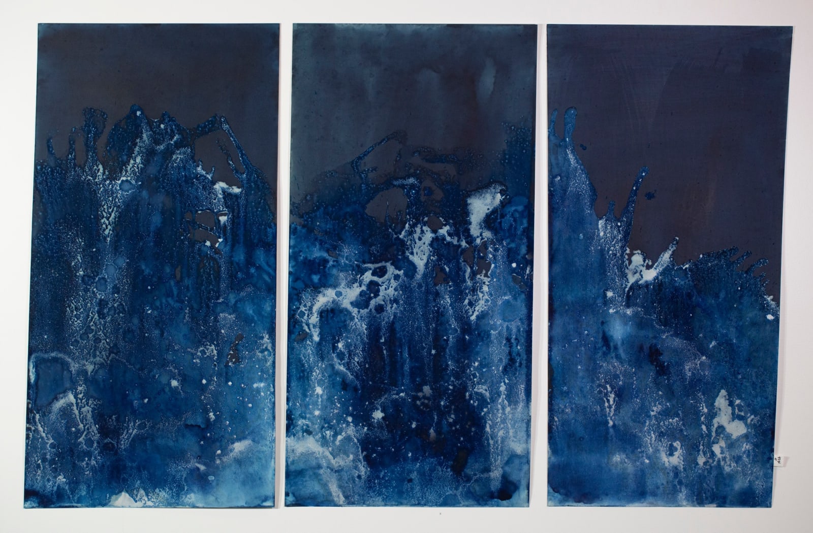 Meghann Riepenhoff, Littoral Drift #1427 (Fay Bainbridge, WA, Unknown Date of First Exposure, Churning Waves in Swash Zone)