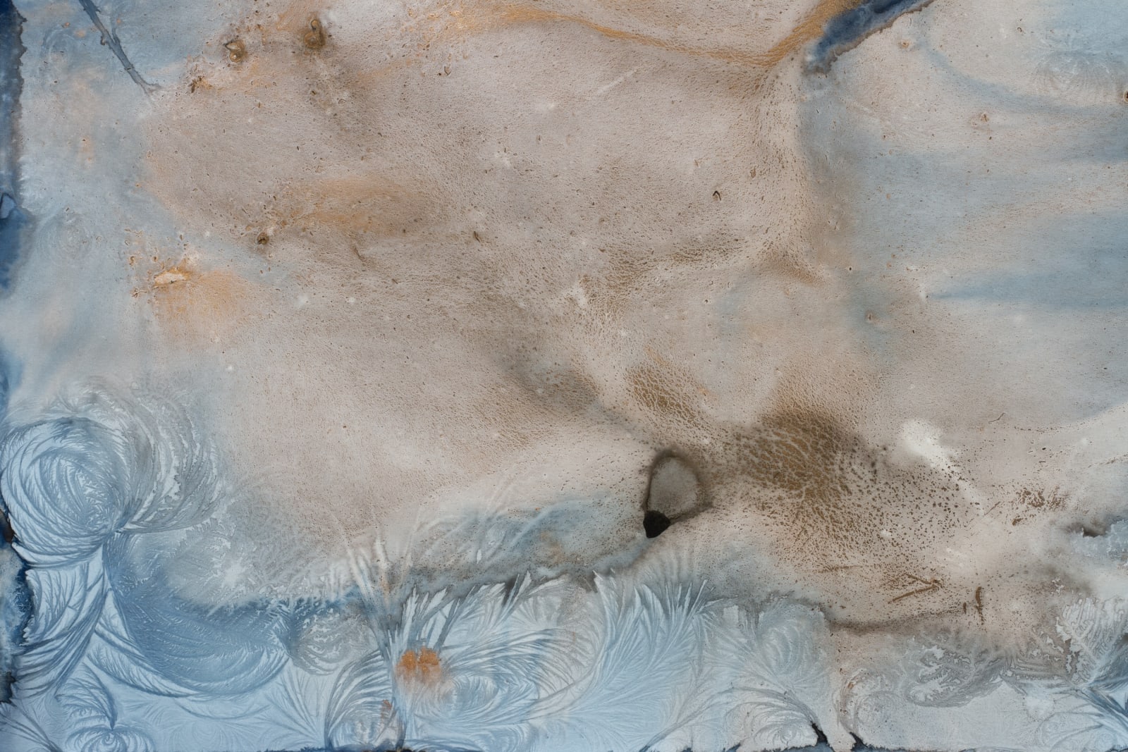 Meghann Riepenhoff, Day 383.1: mushroom spore ink + organic, inorganic, and Prussian Blue pigment + wintry mix, 2025