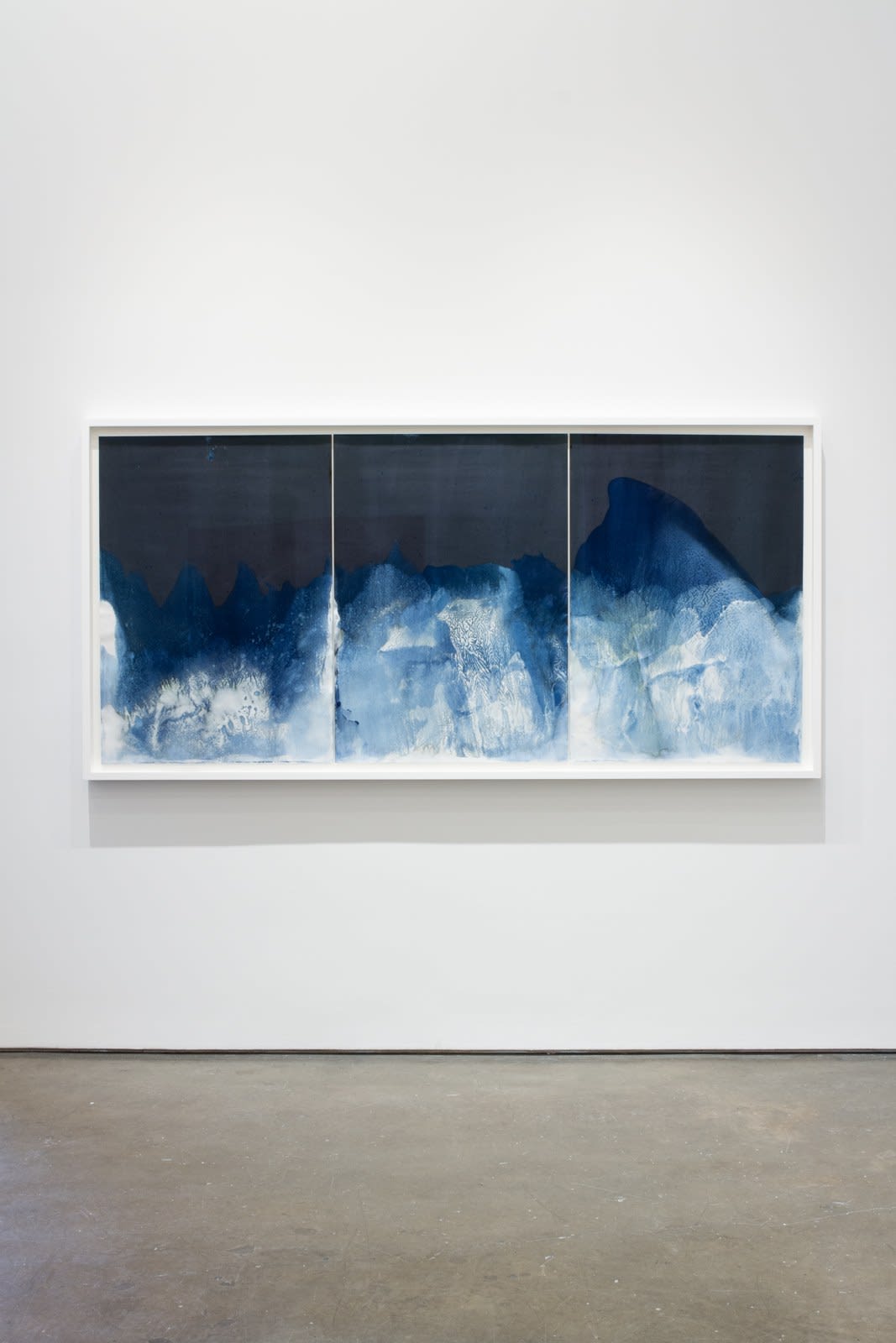 Meghann Riepenhoff, Waters of Oceania: FEMA - 4724 - DR (Ecological Succession Day Twenty - Three, Maui, HI, 09.08.2023), 2023