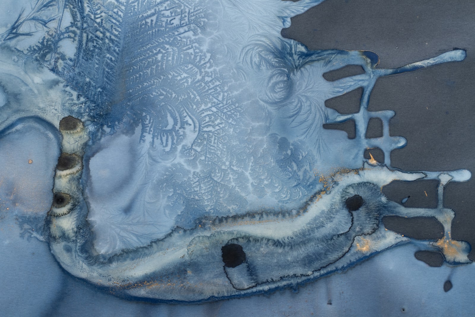 Meghann Riepenhoff, Day 383.1: mushroom spore ink + organic, inorganic, and Prussian Blue pigment + wintry mix, 2025
