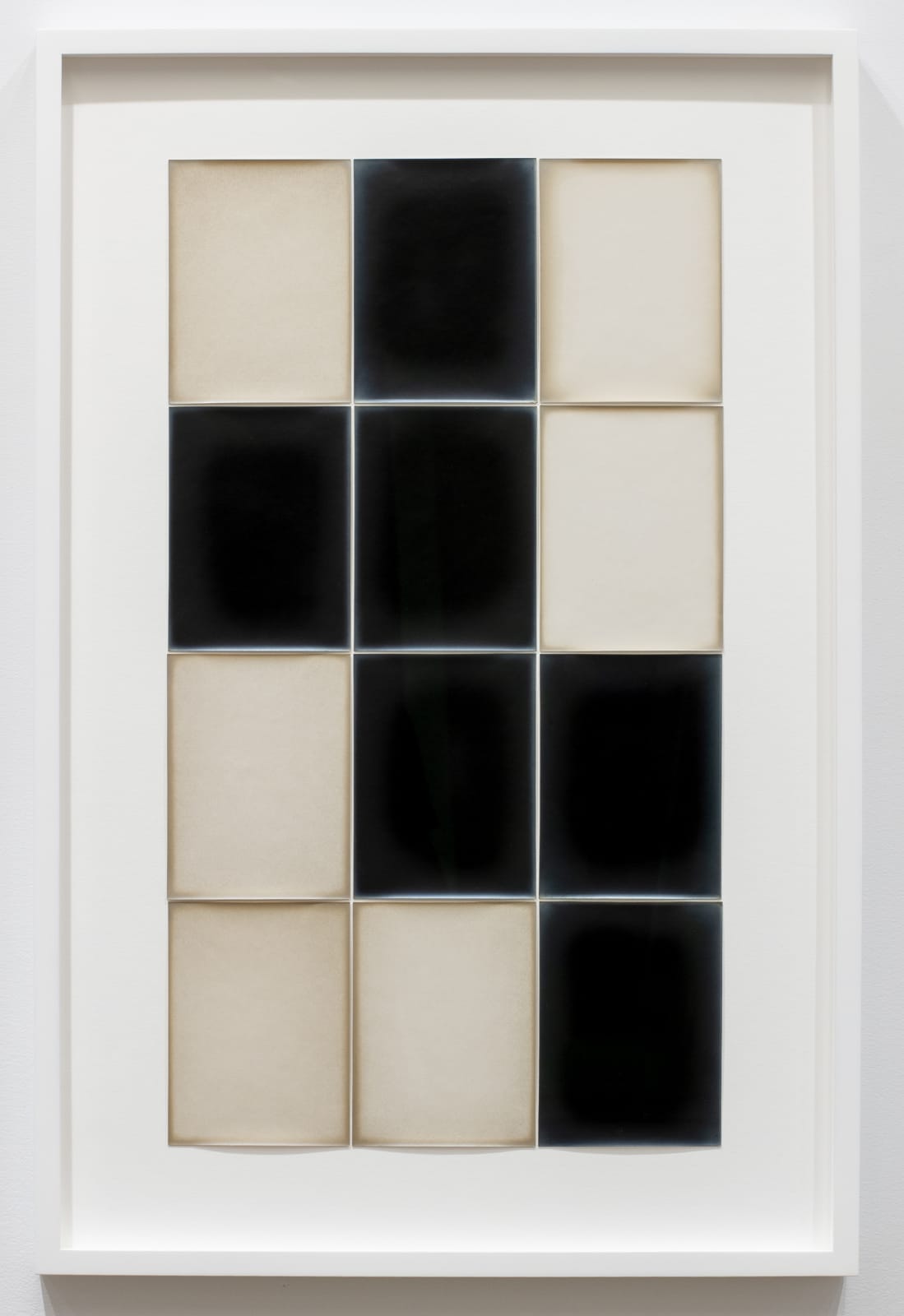 Alison Rossiter, Semblance, Man Ray Tapestry, (Mimosa, Radiotyp, manufactured ca. 1930s, processed 2023), 2025