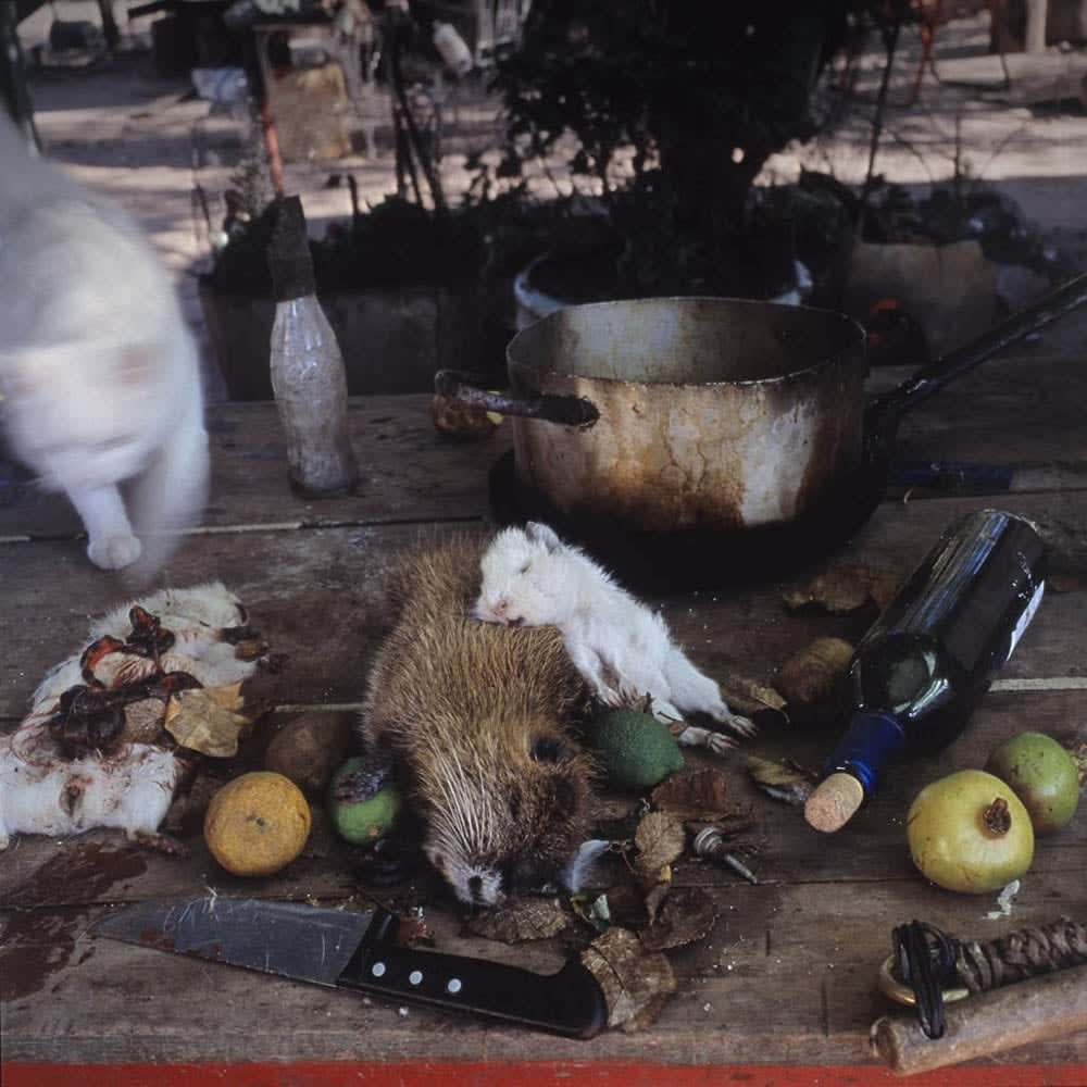 Alessandra Sanguinetti, Untitled, From the series On the Sixth Day, Plate XLVIII, 1996-2004