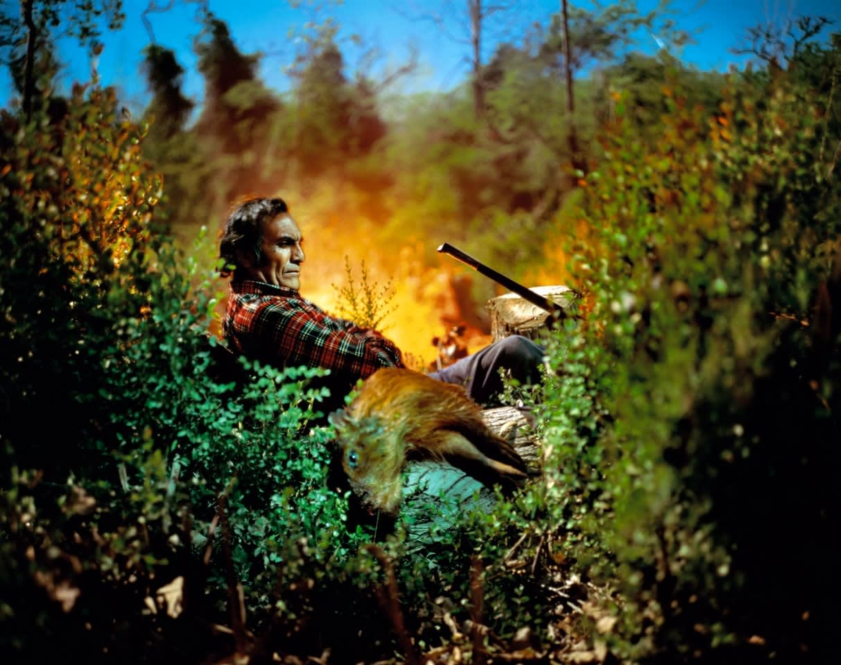 Alejandro Chaskielberg, The Hunter, 2010