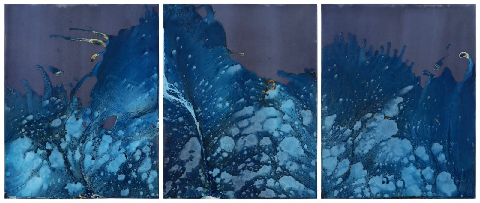 Meghann Riepenhoff, Day 260.2: Waters of the Americas, Florida Department of Environmental Protection #8092, 2024