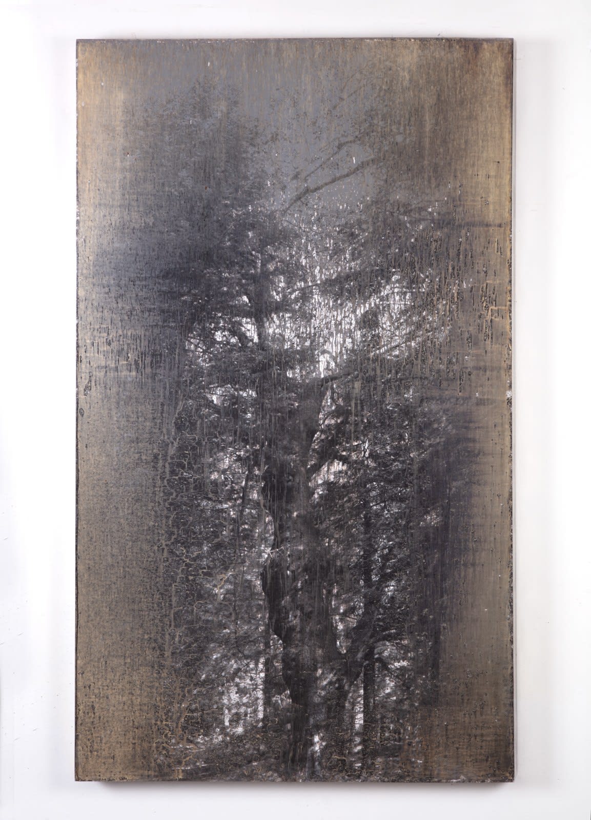 Matthew Brandt, AgXSB4226, 2024