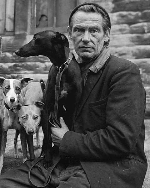 Chris Killip, Whippet fancier, Huddersfield, Yorkshire, 1973