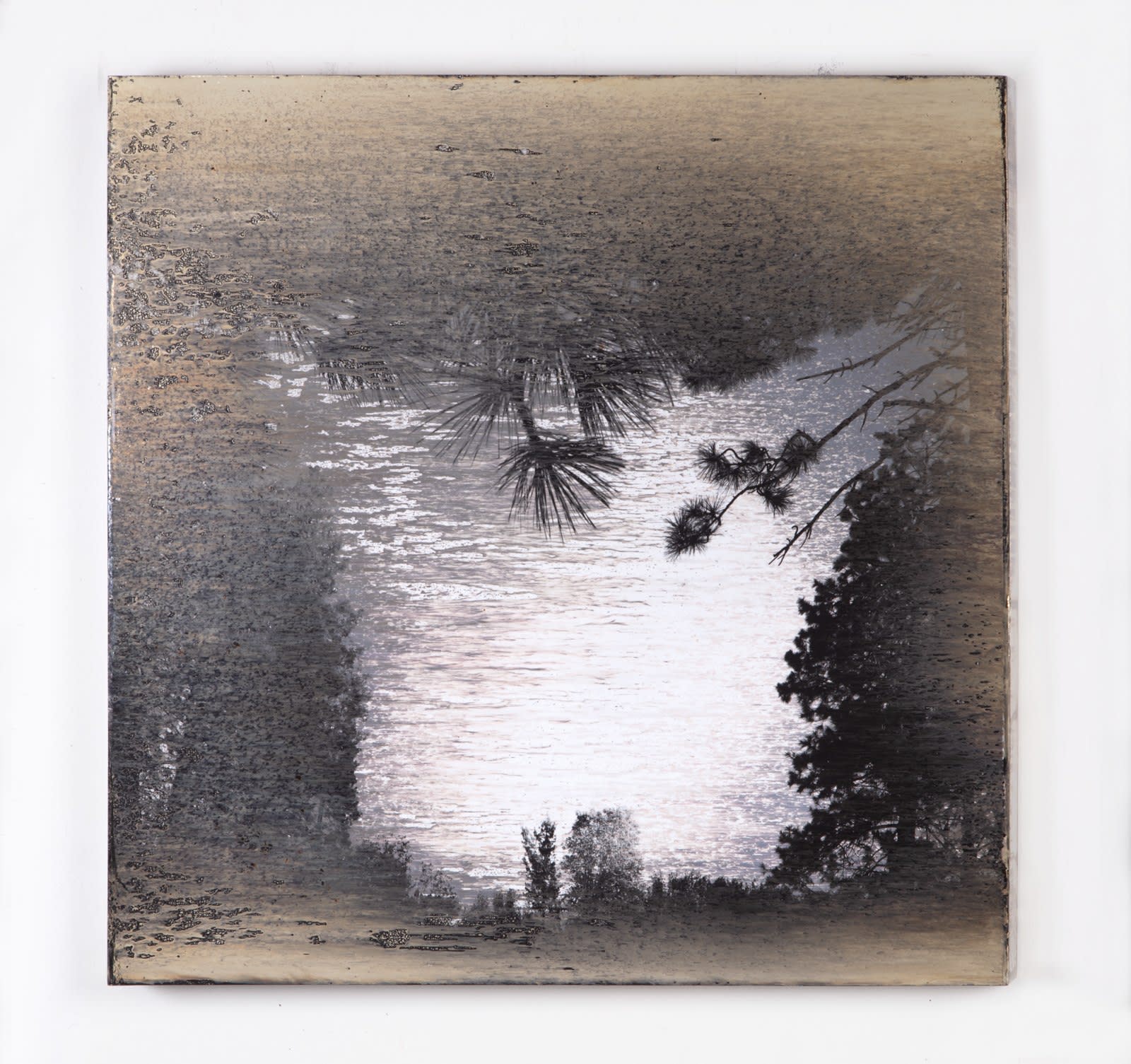 Matthew Brandt, AgXSB2829, 2024