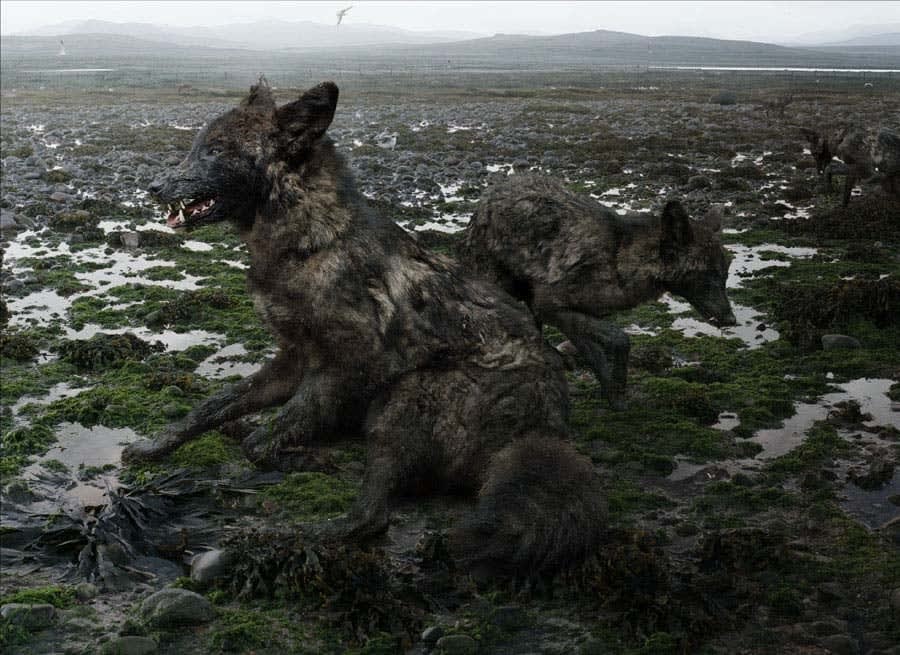 Simen Johan, Untitled #156, 2009