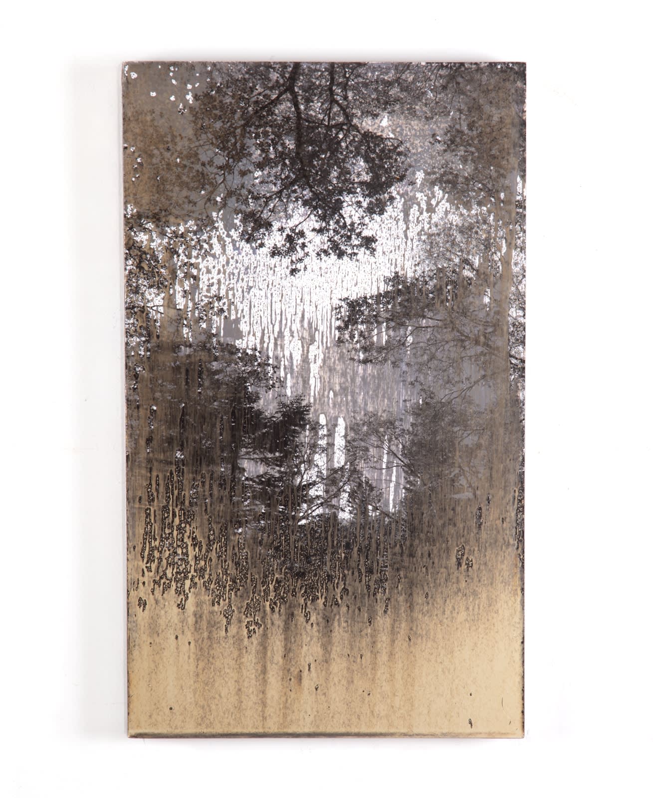 Matthew Brandt, AgXSB2012, 2024