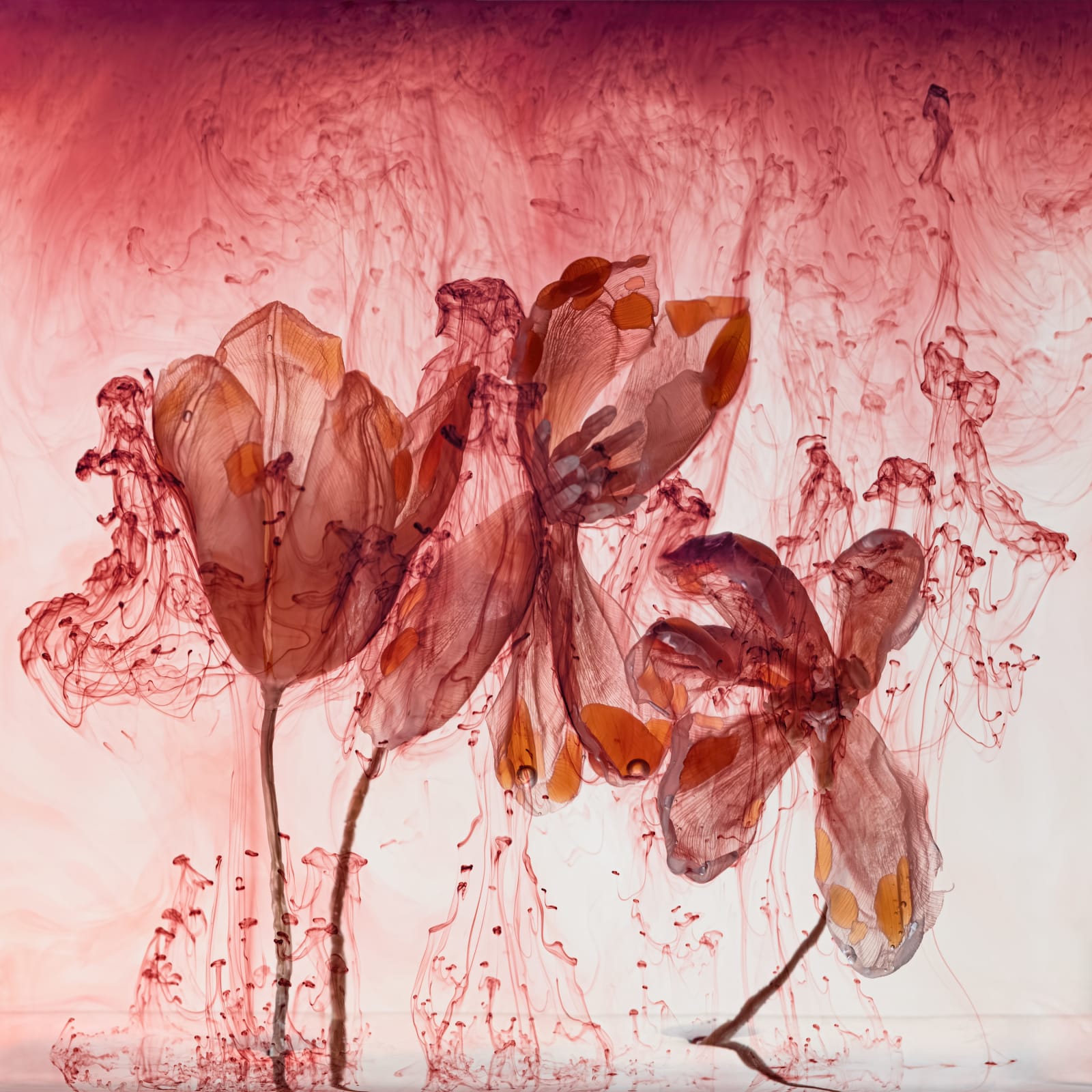 Kathrin Linkersdorff, Fairies IV / 2, 2020