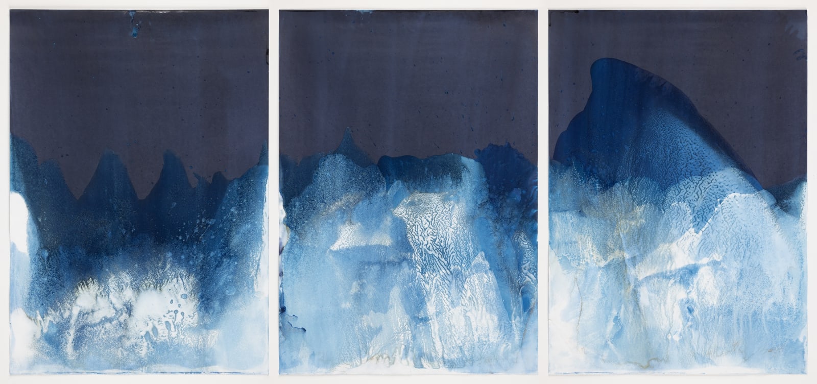 Meghann Riepenhoff, Waters of Oceania: FEMA - 4724 - DR (Ecological Succession Day Twenty - Three, Maui, HI, 09.08.2023), 2023