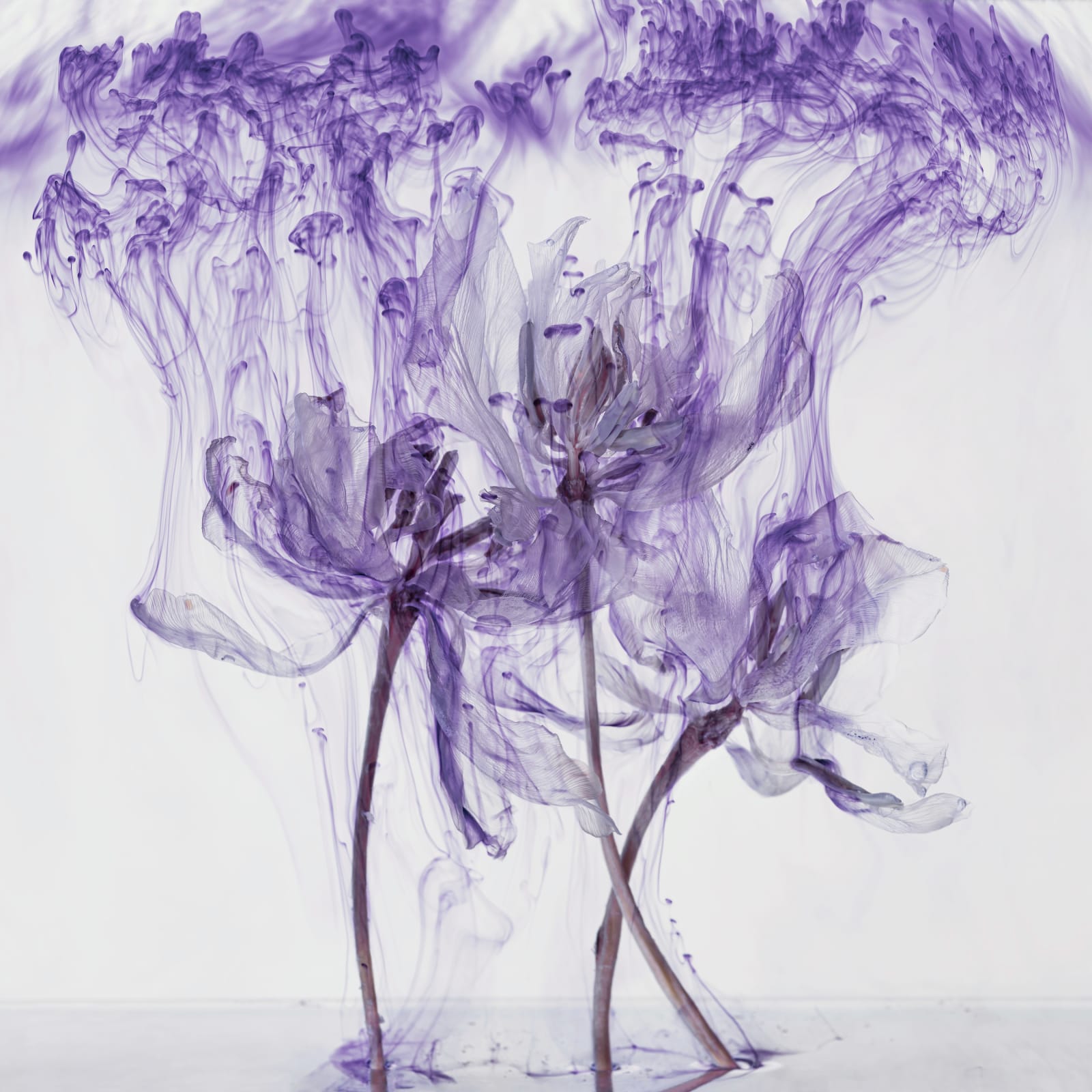 Kathrin Linkersdorff, Fairies IV / 4, 2020