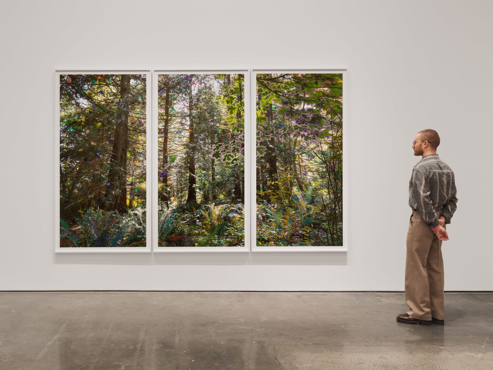 Sarah Anne Johnson, Beautiful Day, 2025