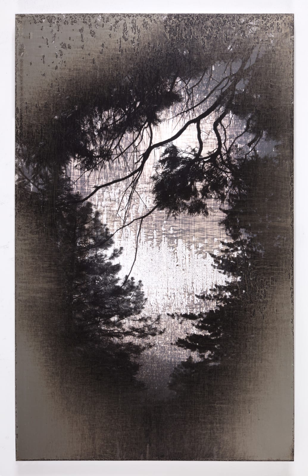 Matthew Brandt, AgXSB4829 (San Bernardino Forest), 2022