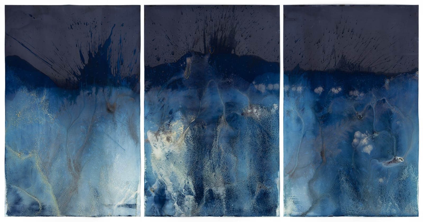 Meghann Riepenhoff, Day 258 .1 : Waters of the Americas, Florida Department of Environmental Protection #8092, 2024