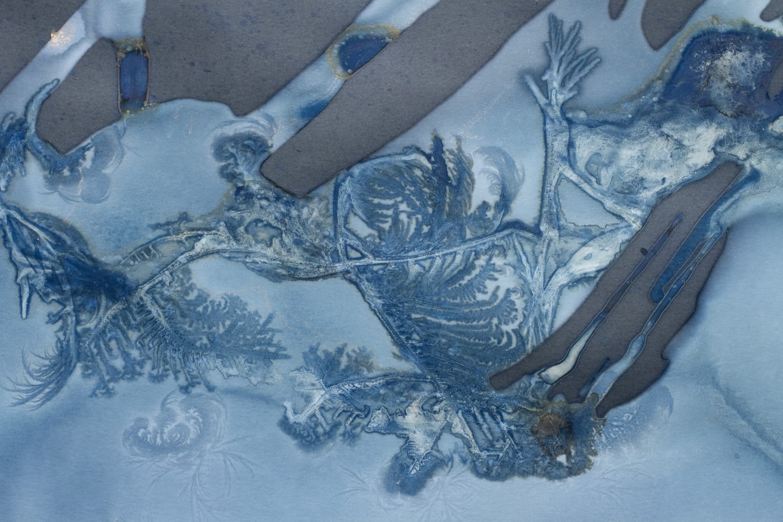 Meghann Riepenhoff, Day 383.1: mushroom spore ink + organic, inorganic, and Prussian Blue pigment + wintry mix, 2025