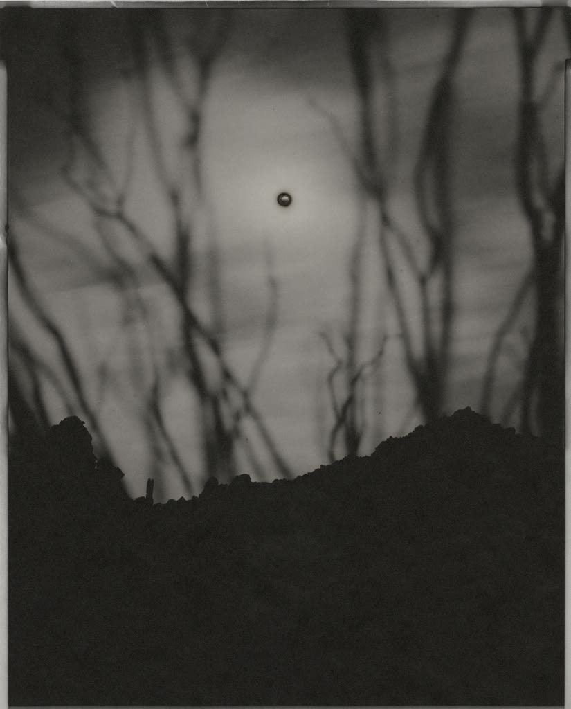 Chris McCaw, Sunburned GSP#453 (Mexico), 2010