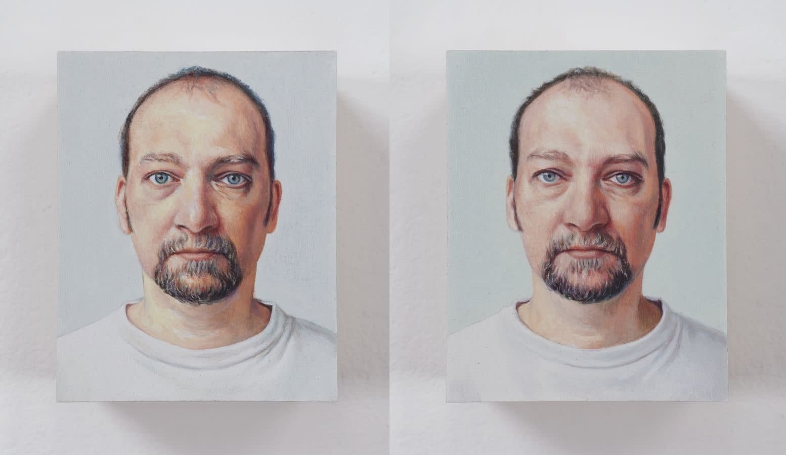 Jim Torok, 3D Self, 2004