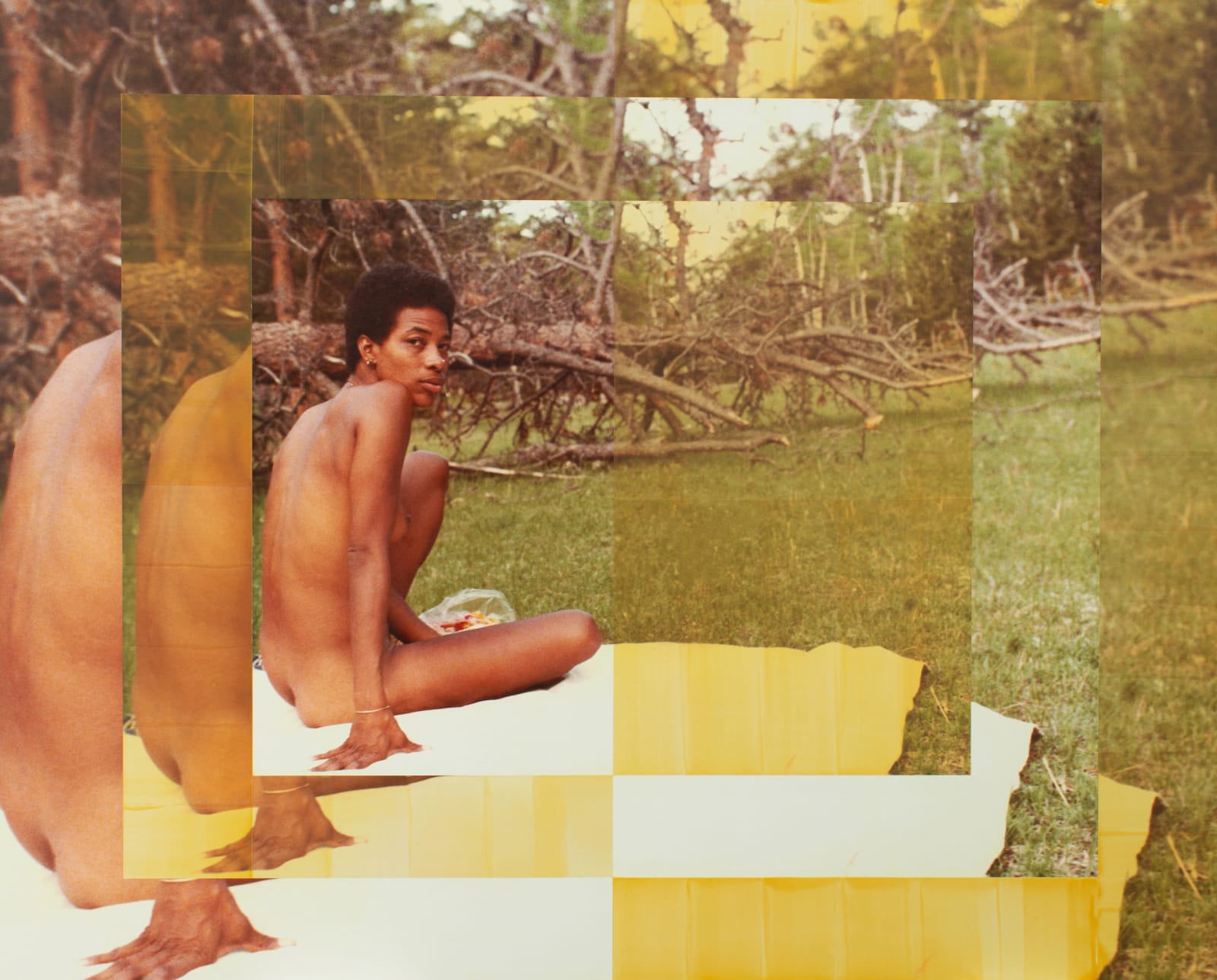 Alanna Fields, Come To My Garden, 2021