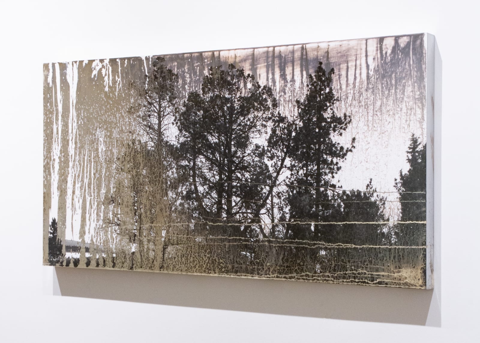 Matthew Brandt, AgXSB2040 (San Bernardino Forest), 2023