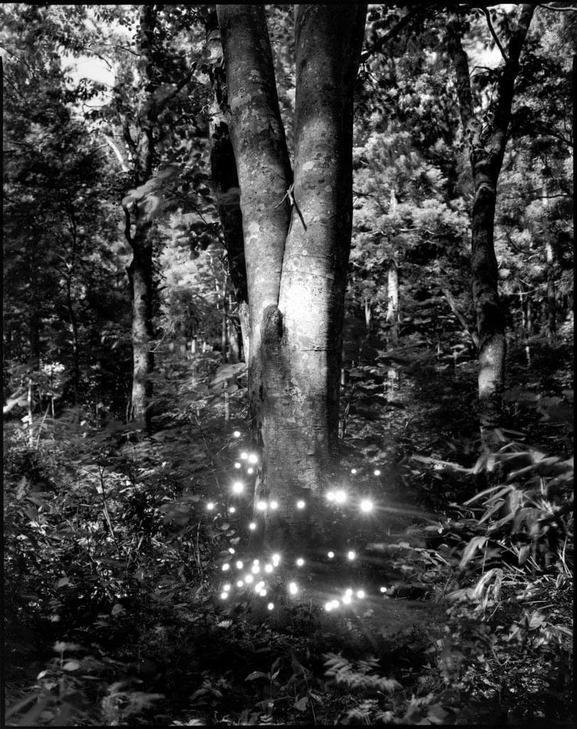 Tokihiro Sato, Hakkoda #4, 2009