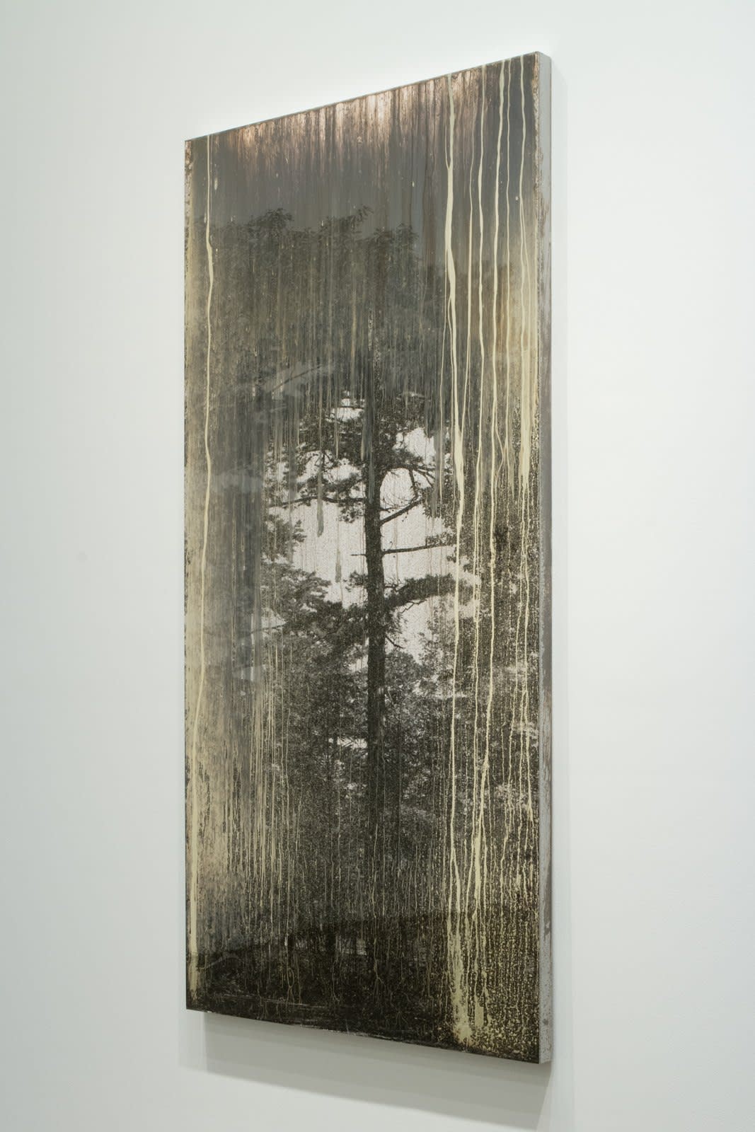 Matthew Brandt, AgXDT7010A, 2019