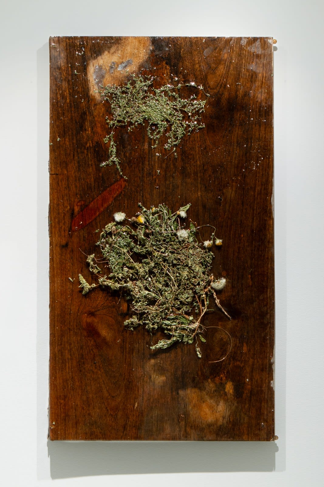 Bri Williams, Stigma, 2023