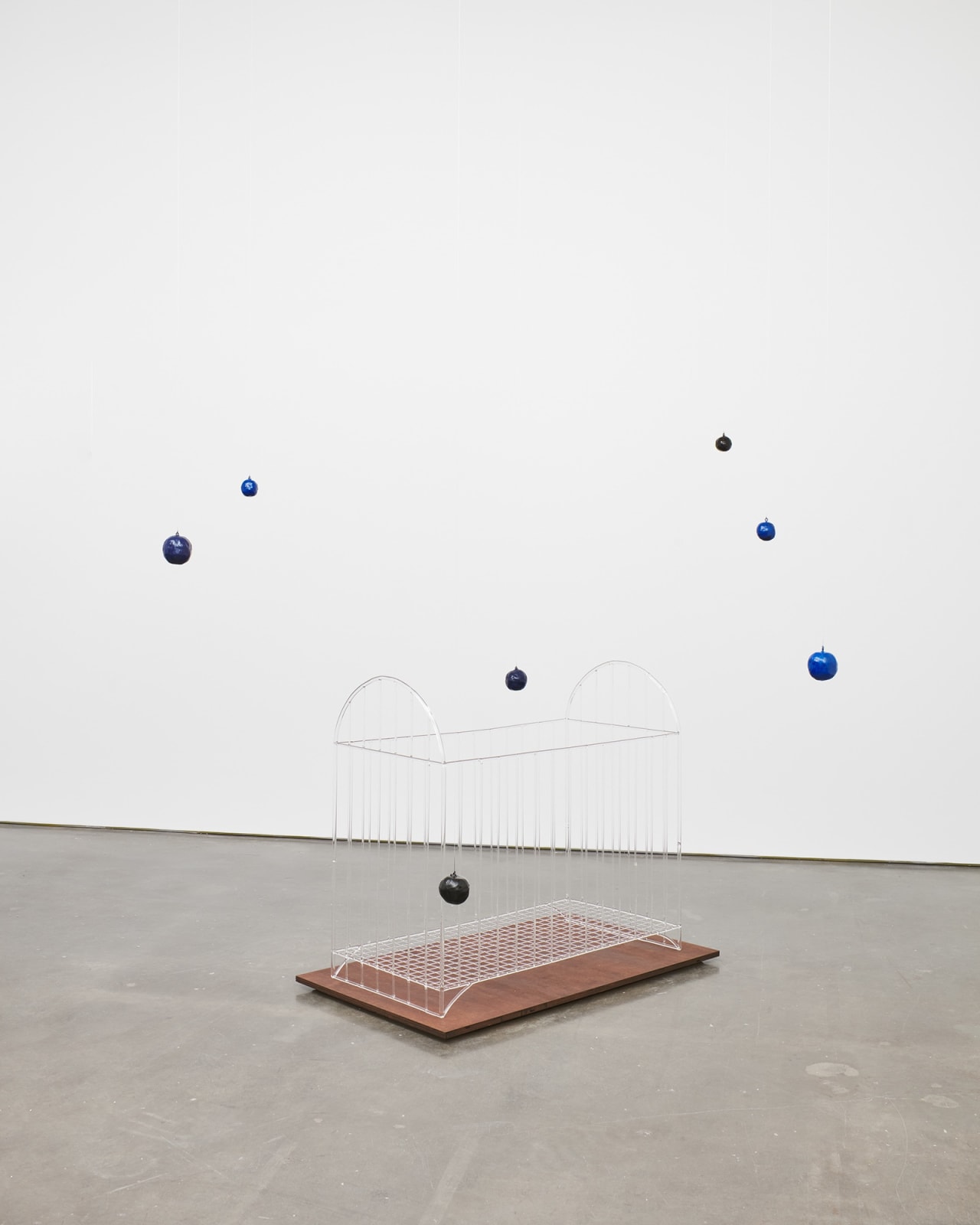 Shikeith, Beloved, Blues, 2022