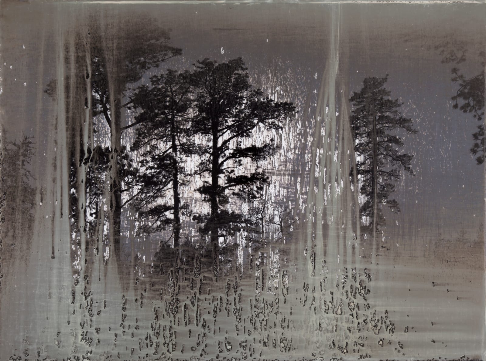 Matthew Brandt, AgXSB2027 (San Bernardino Forest), 2023