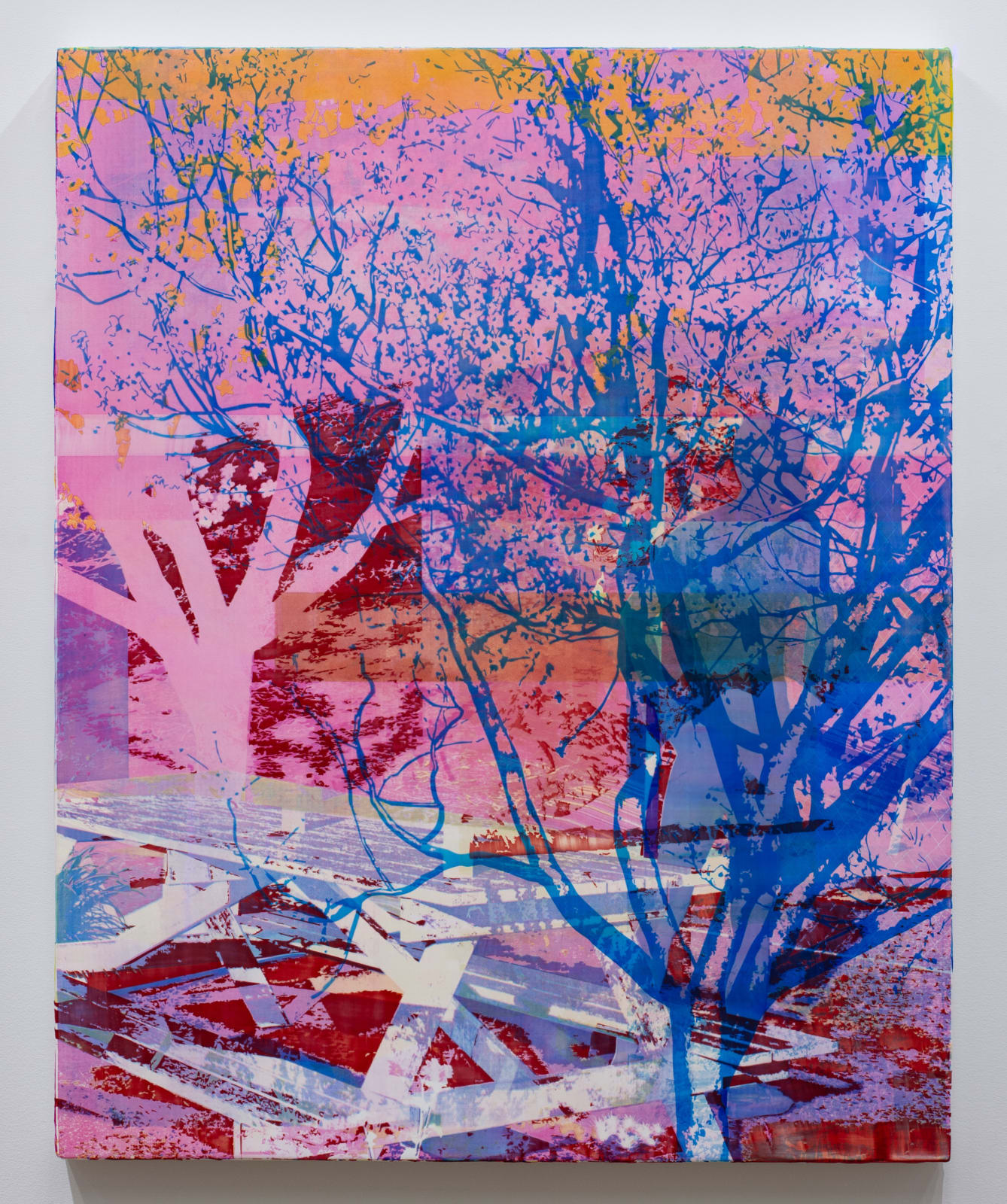 Zoe Walsh, Entangle, 2025