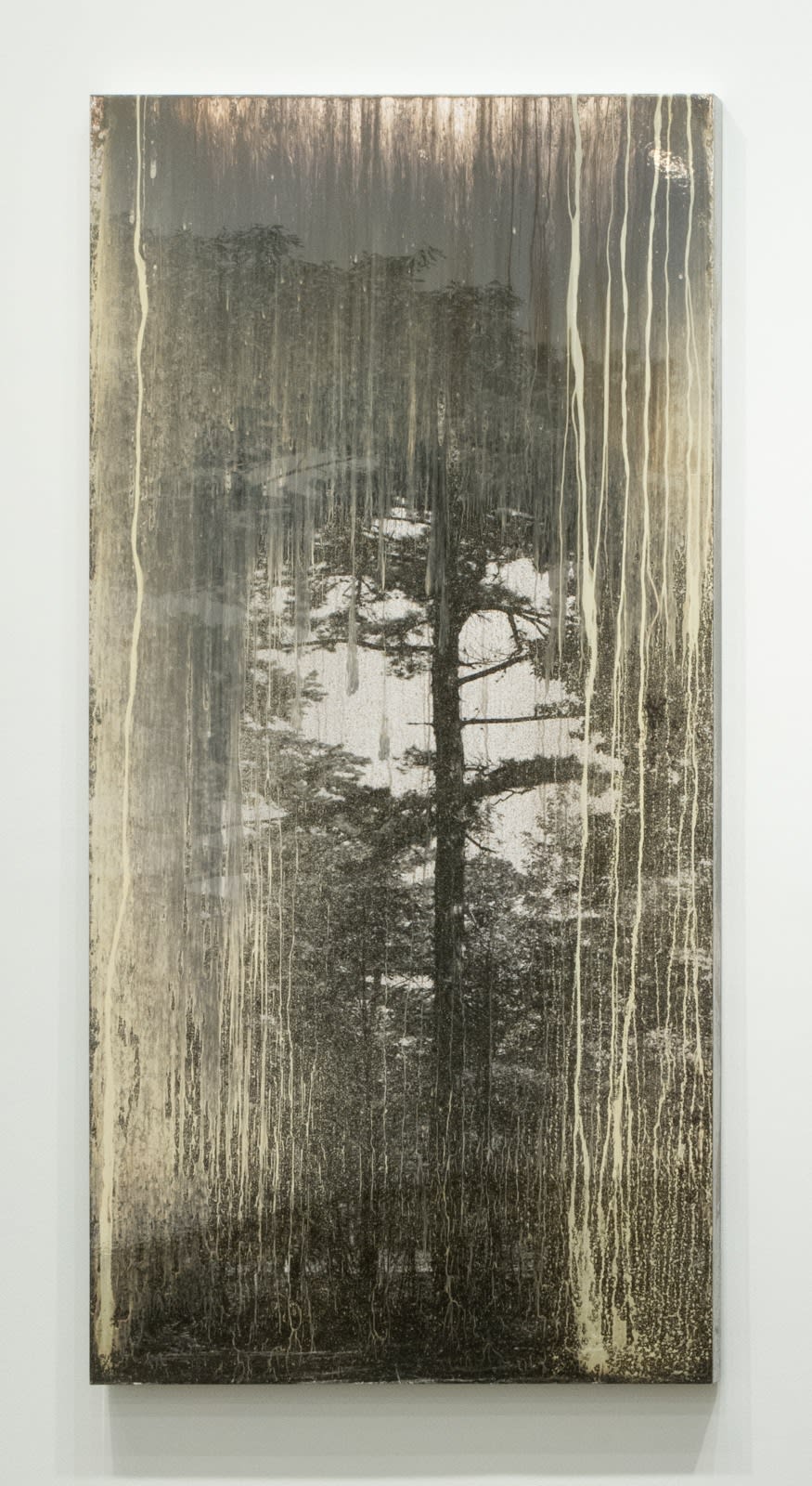 Matthew Brandt, AgXDT7010A, 2019