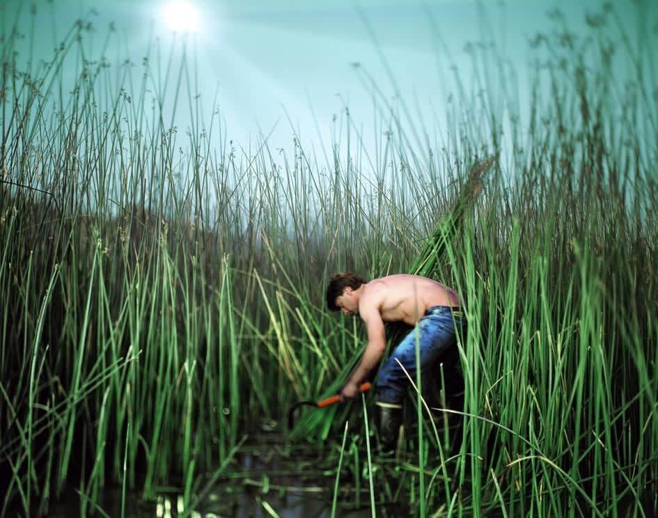 Alejandro Chaskielberg, El Junquero (The Rusher), 2008