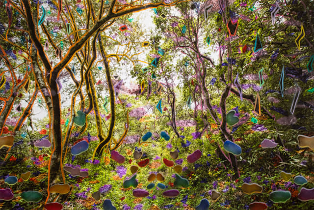 Sarah Anne Johnson, TFHS SE, 2025